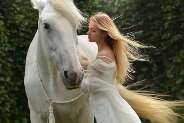 Most Beautiful Horse Breeds