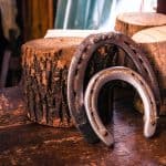 Horse Shoes