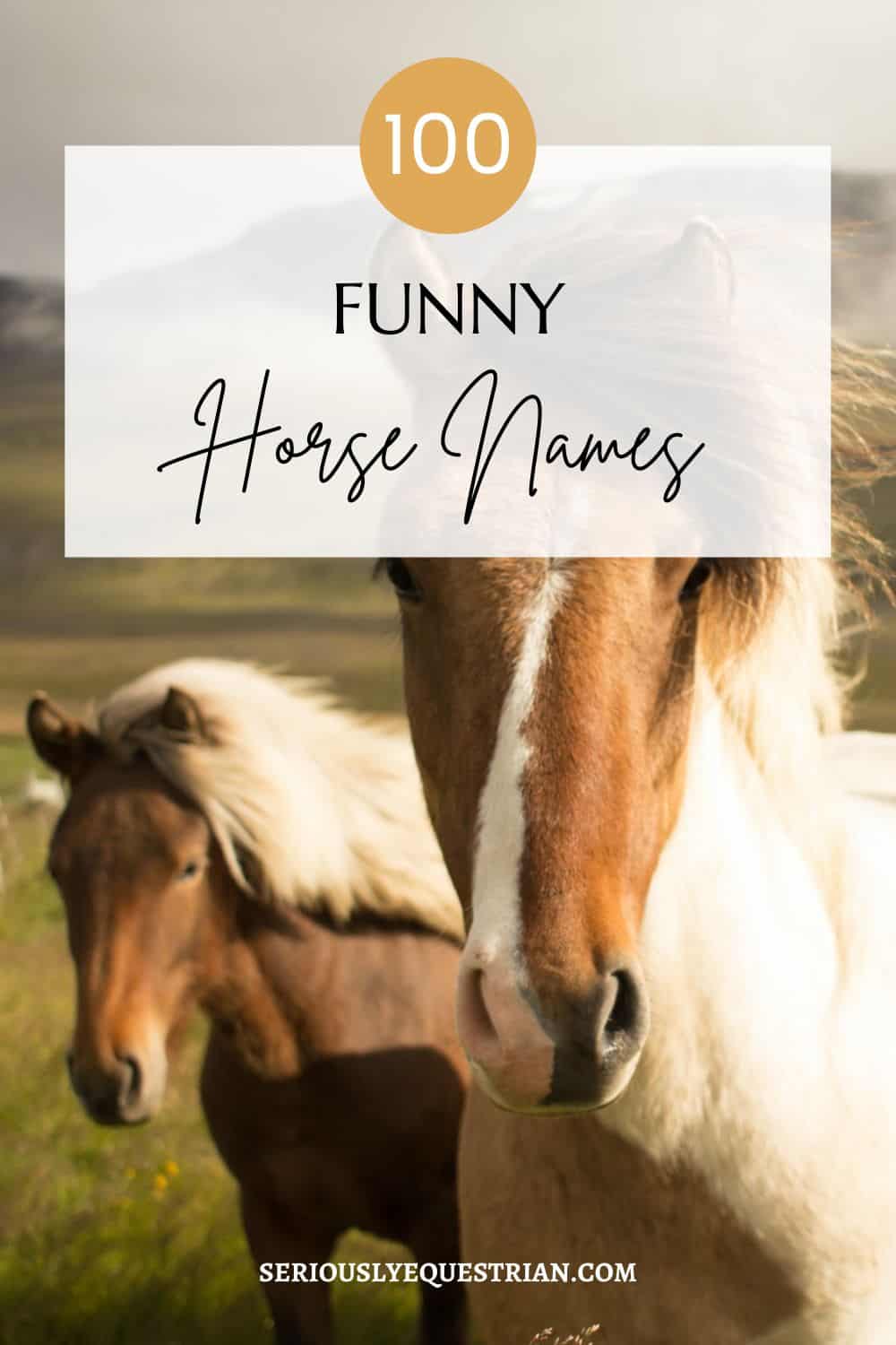 Funny Horse Names Pin