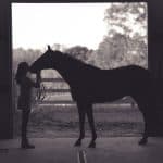How To Name Your Horse