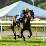 Horse Speed