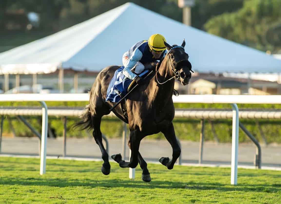 Horse Speed