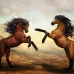 Horses Twin