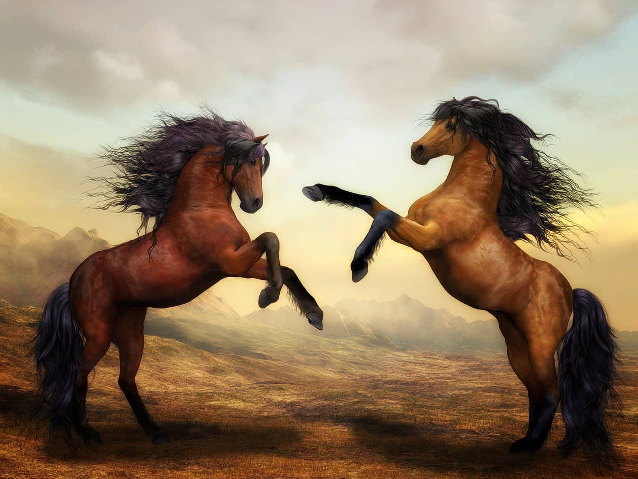 Horses Twin