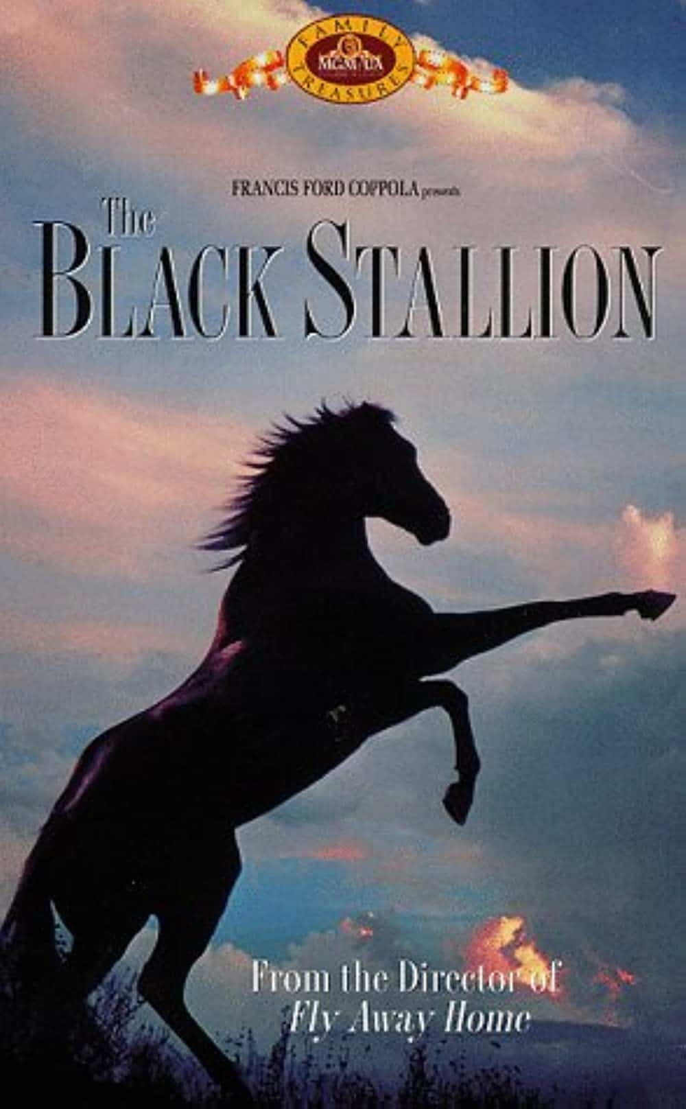 25 Best Horse Movies You Should Totally Watch – The Black Stallion