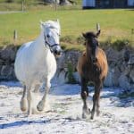 Connemara Health