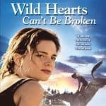 25 Best Horse Movies You Should Totally Watch – Wild Hearts Can’t Be Broken