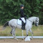 Annual International Connemara Pony Show