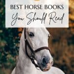 Best Horse Books Pin