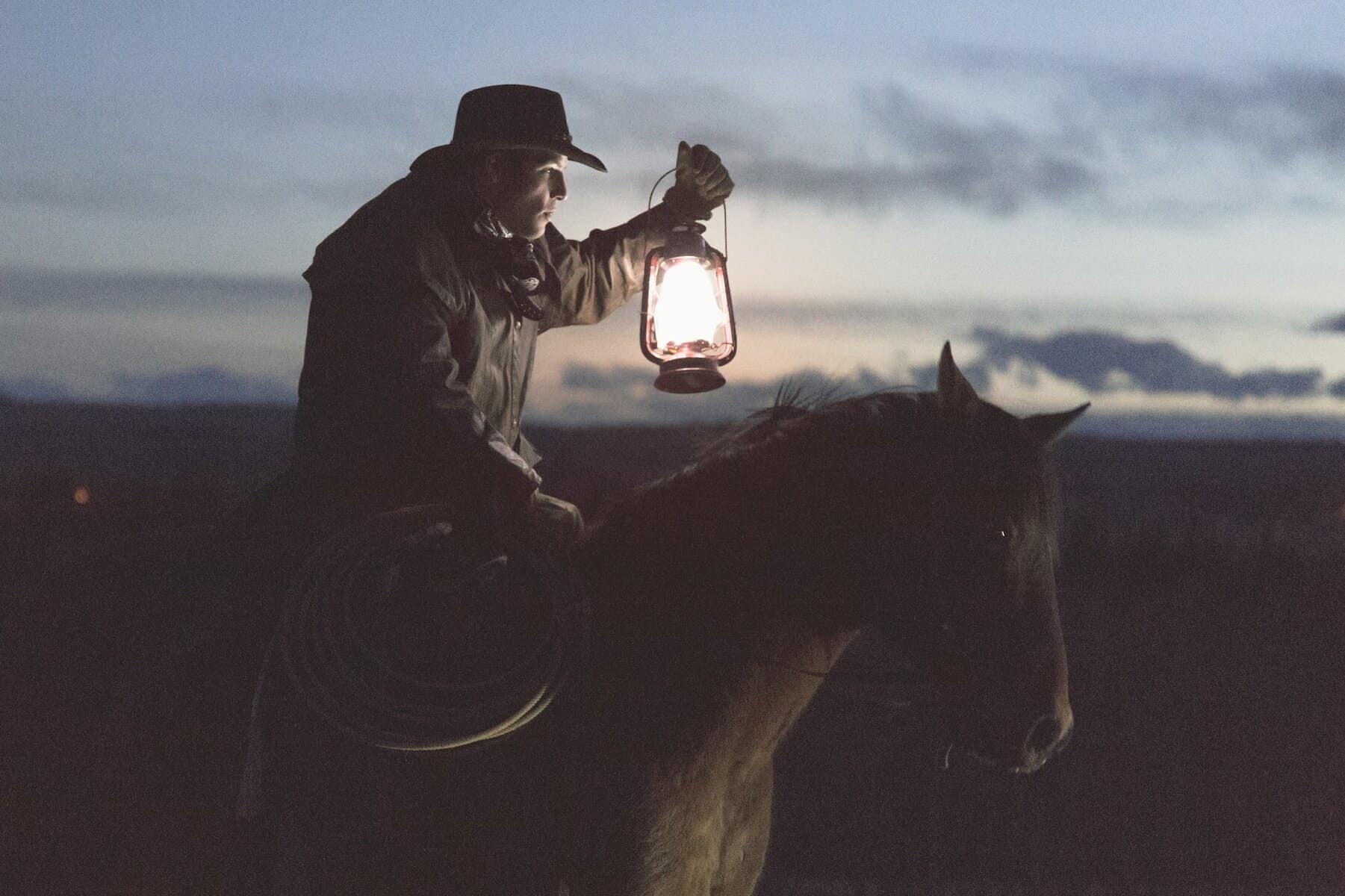 Can horses See in the Dark