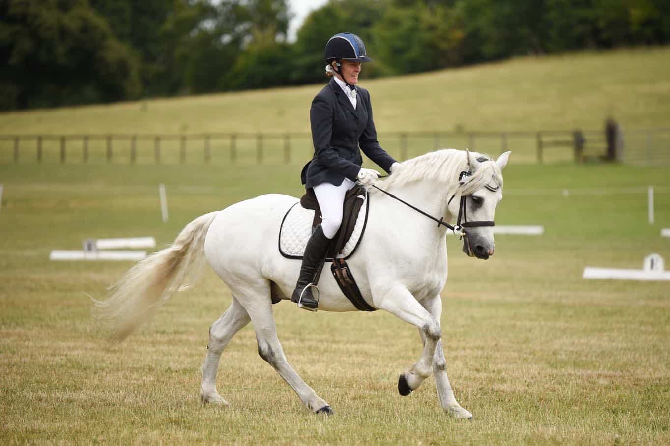 Connemara Pony Uses