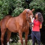 Horse Marking – Birdcatcher