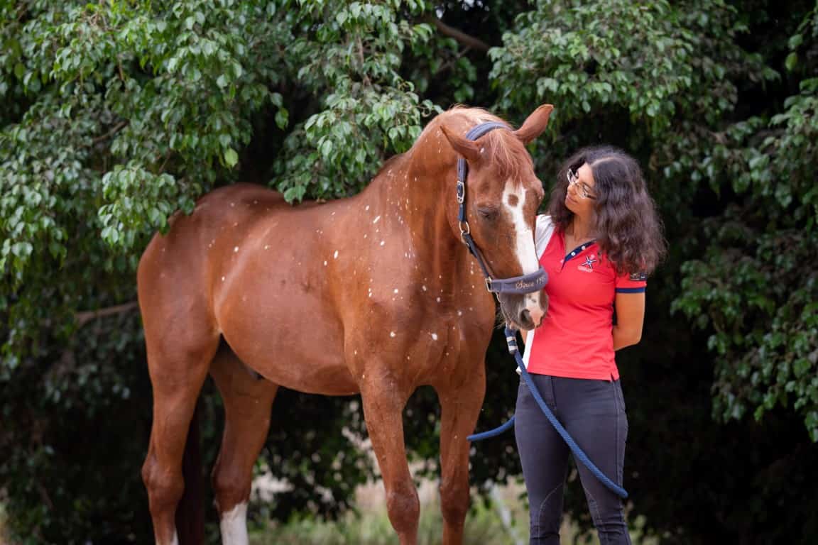 Horse Marking – Birdcatcher