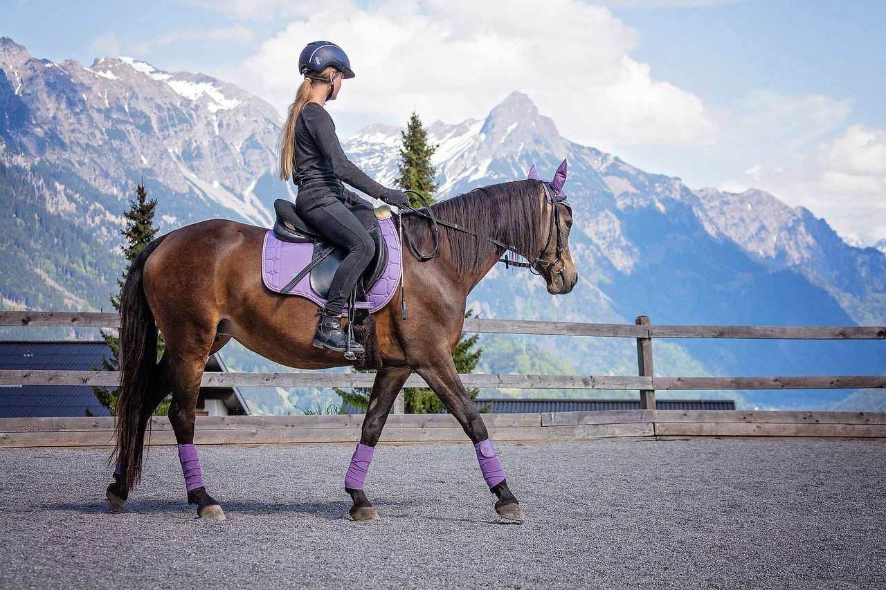 Horse Riding – Improper Tack