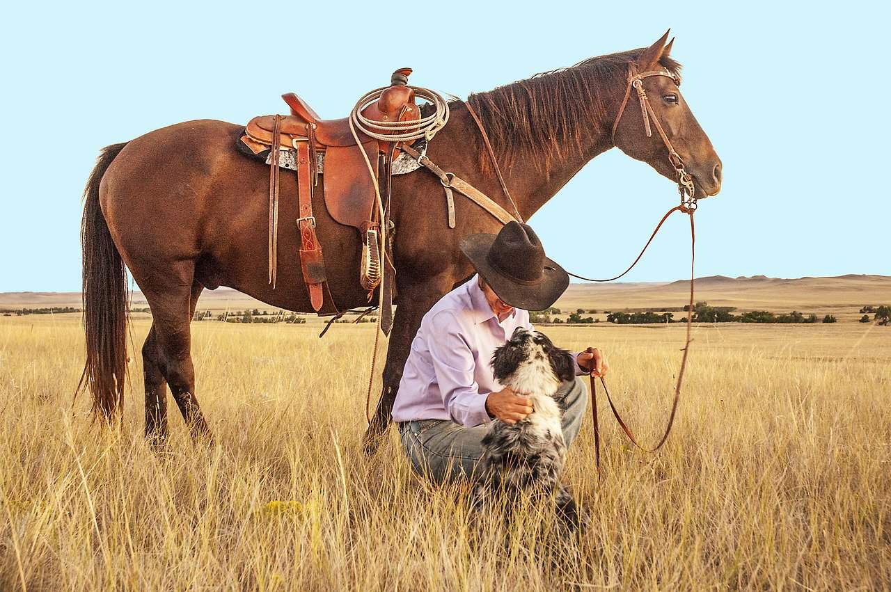 Horse Riding – Joy