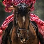 Horse Riding – Not Enjoyable