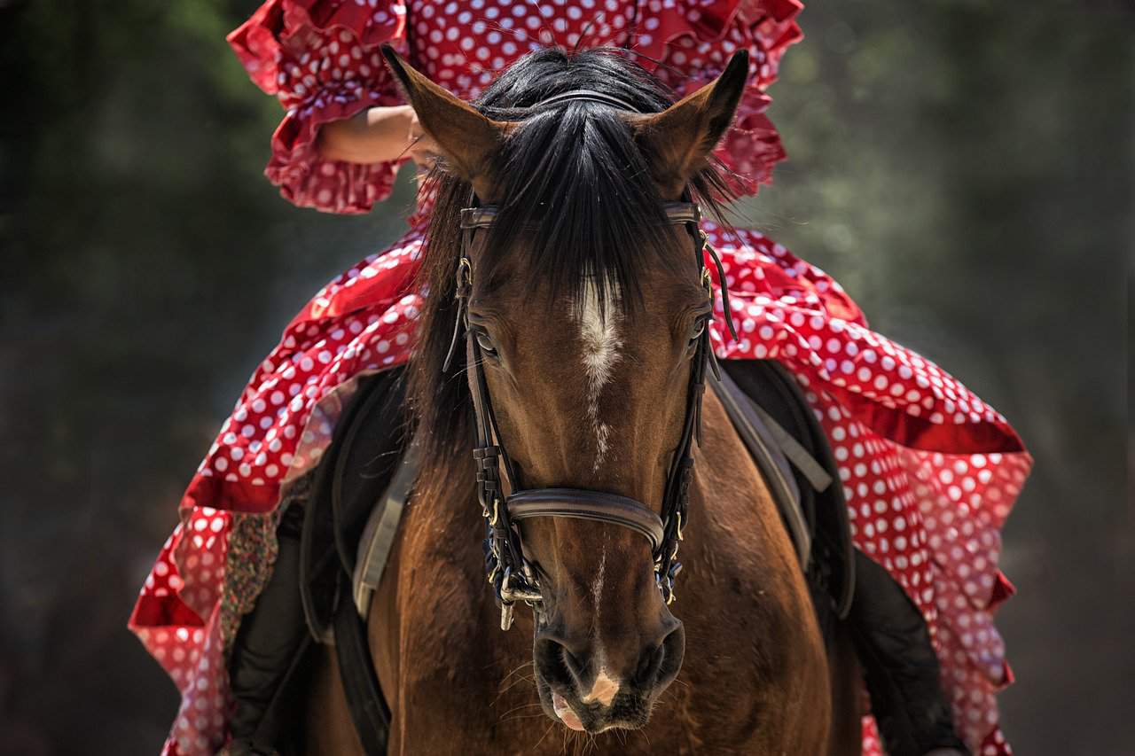 Horse Riding – Not Enjoyable