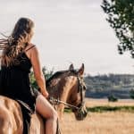 Horse Riding – Rider