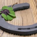 Horse Shoes – Conclusion