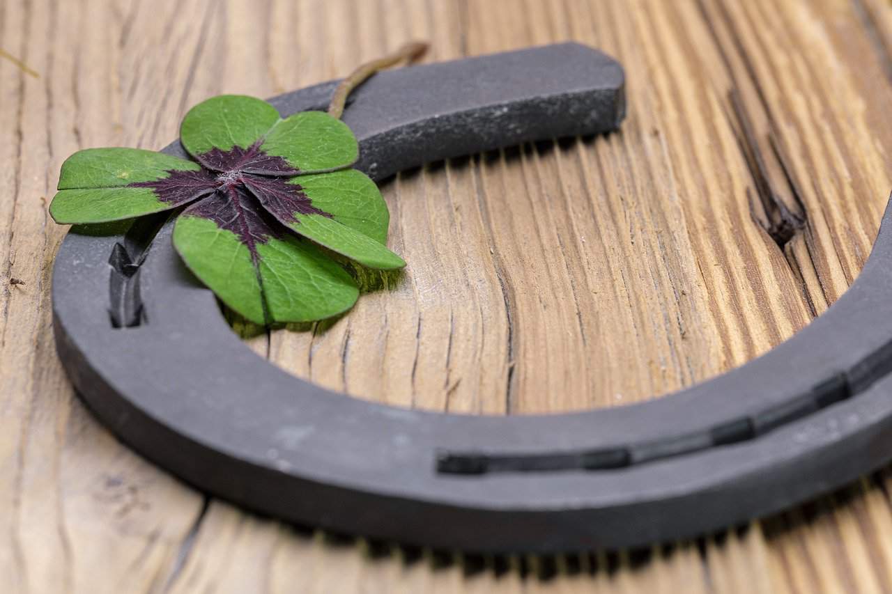 Horse Shoes – Conclusion