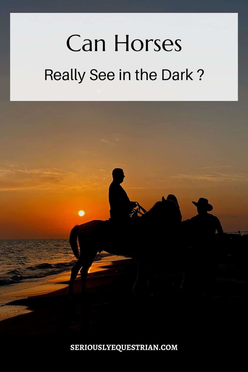 Horse see in the dark pin