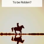Horses Like to be Ridden Pin