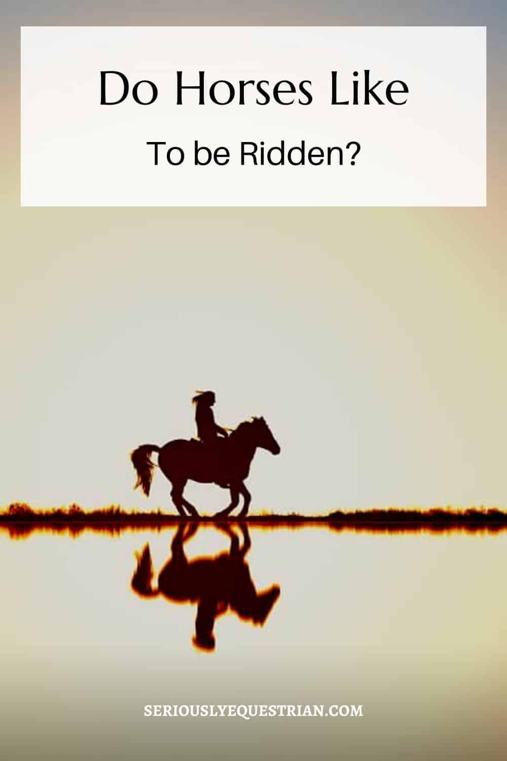 Horses Like to be Ridden Pin