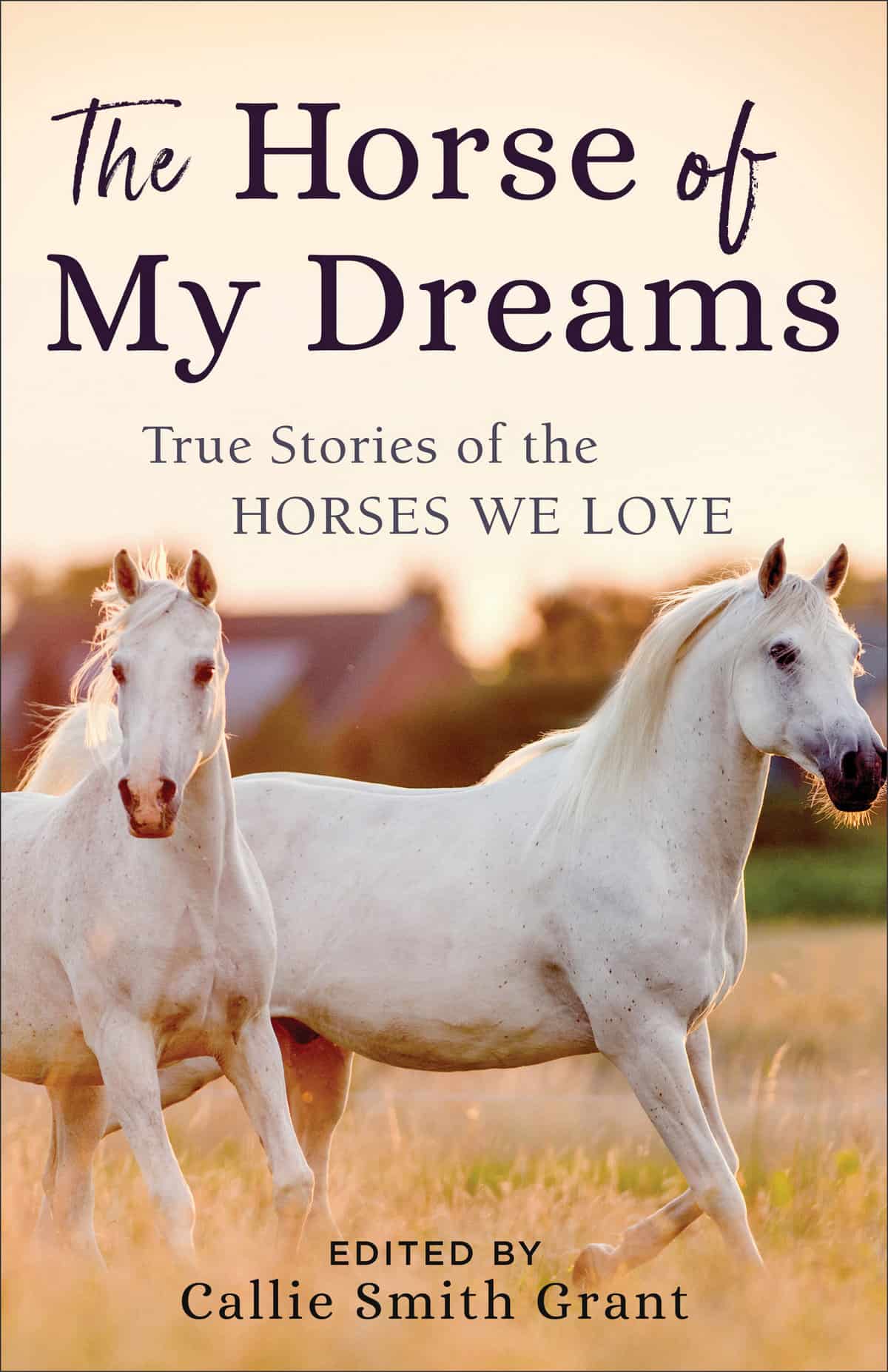 The Horse of My Dreams – True Stories of the Horses We Love edited by Callie Grant Smith