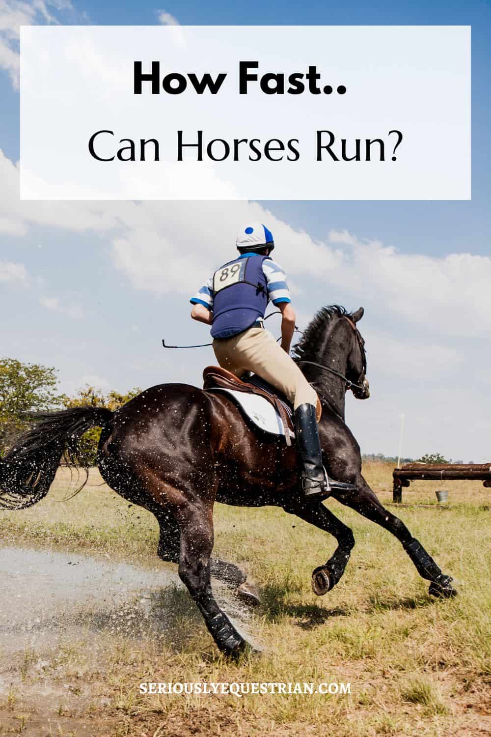 How fast can Horses Run pin