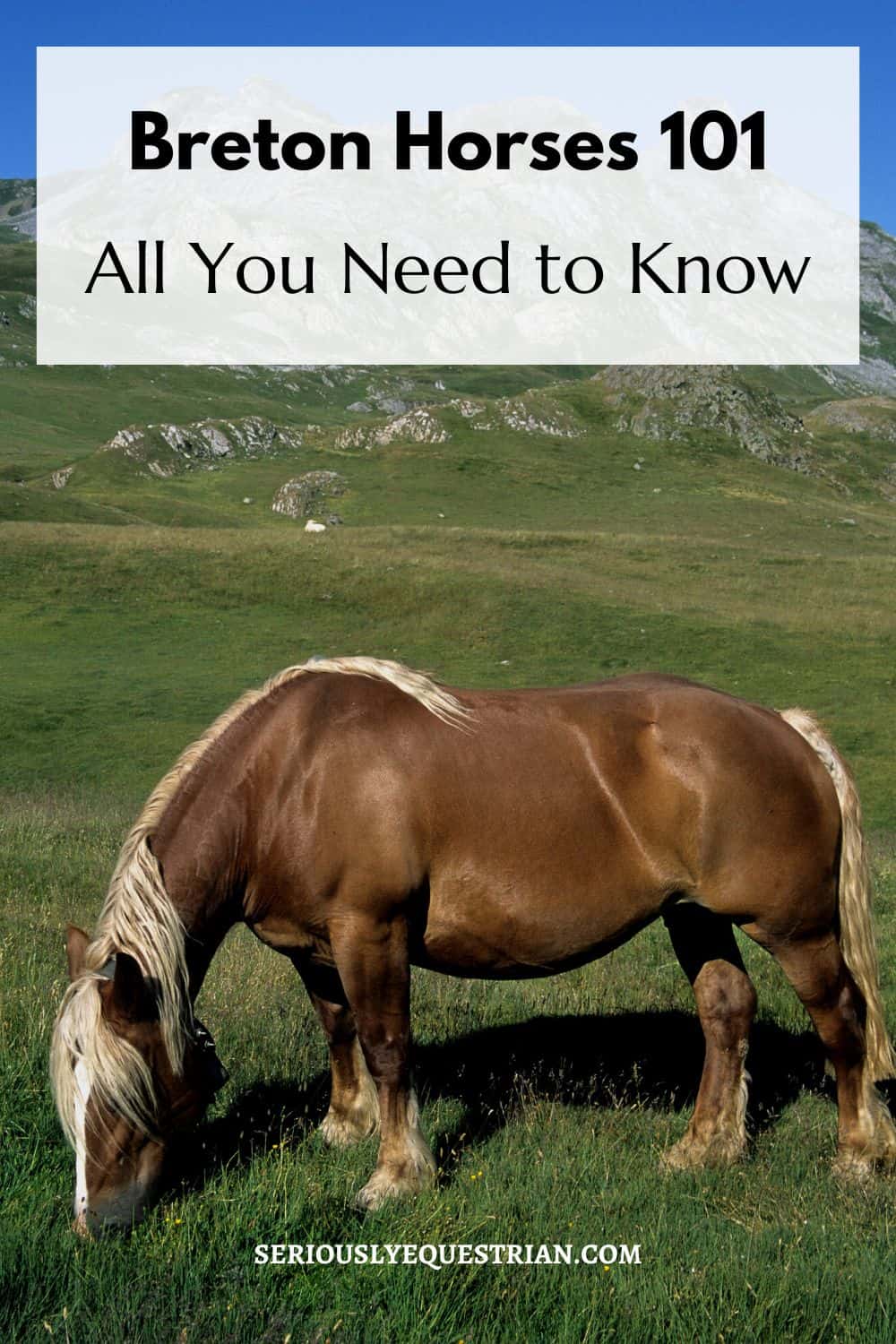 Breton Horses Pin