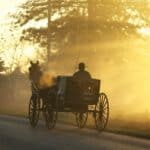 Being Pulled on a Carriage by Horses dream