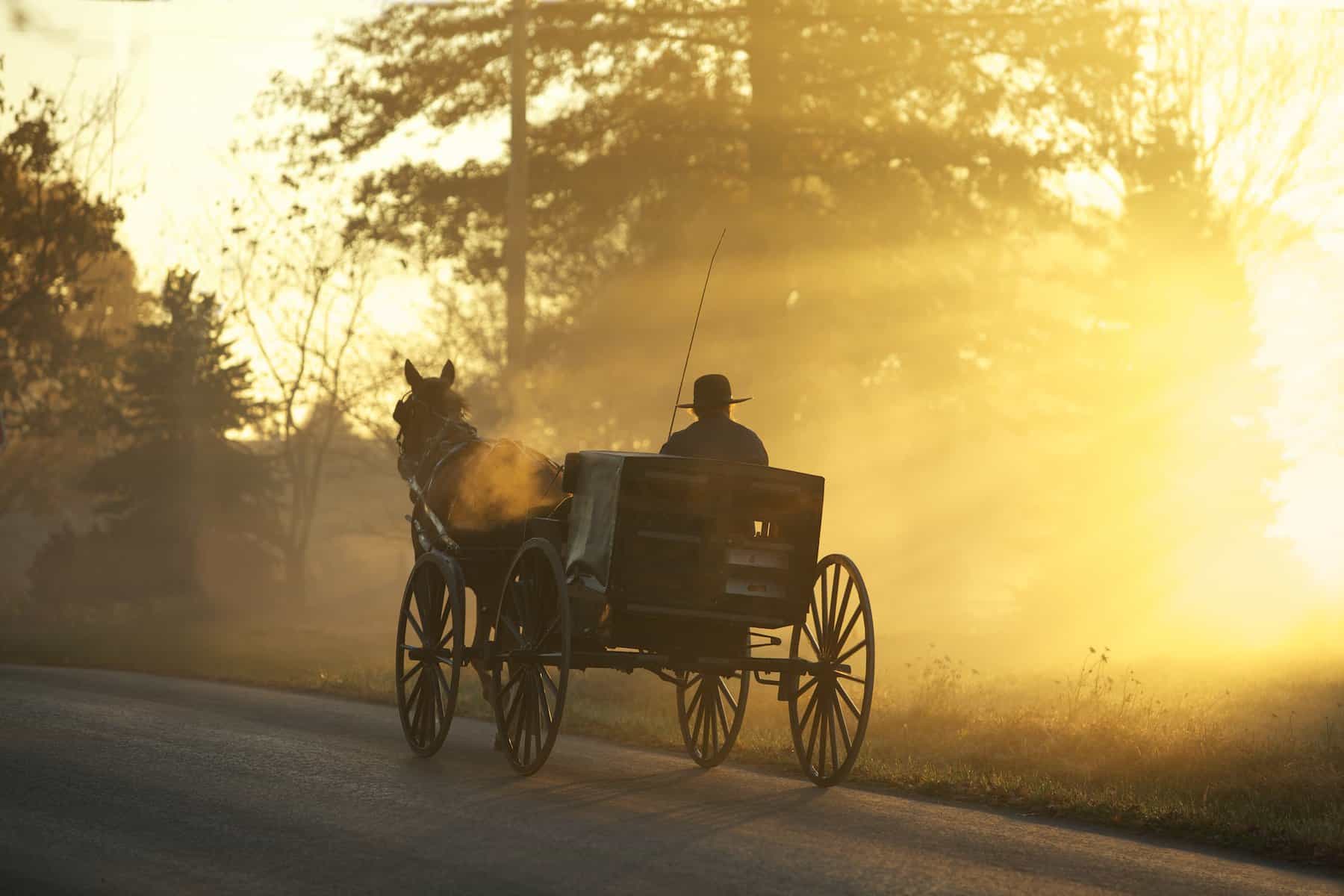Being Pulled on a Carriage by Horses dream