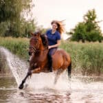 Crossing a Stream on Horseback