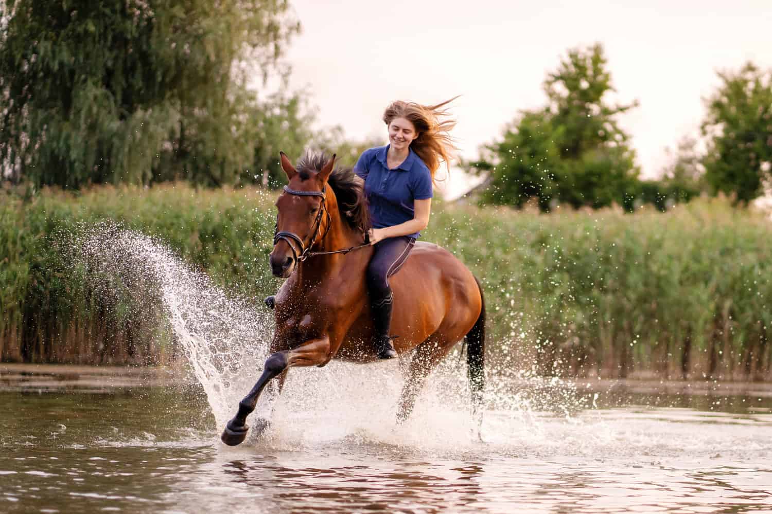 Crossing a Stream on Horseback