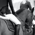 Falling Off of Your Horse