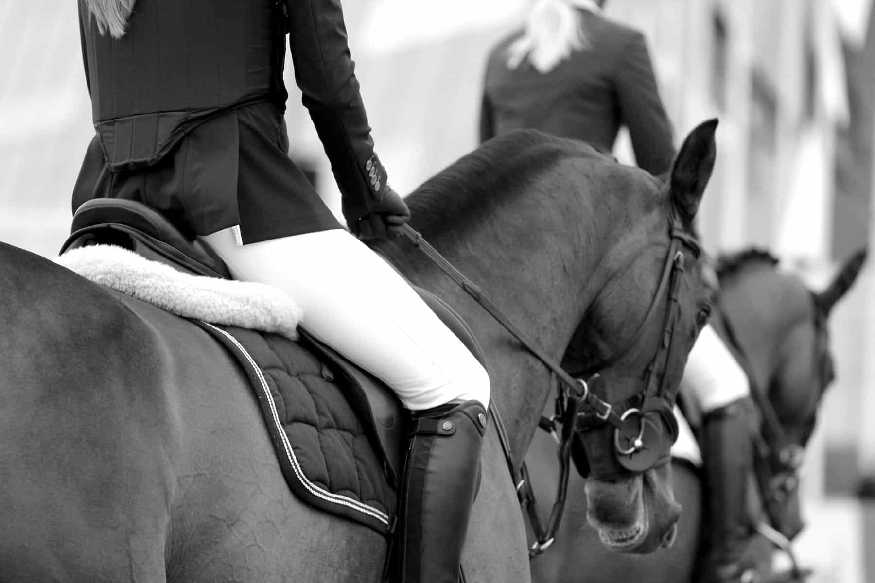 Falling Off of Your Horse