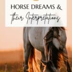 Horse Dreams Pin