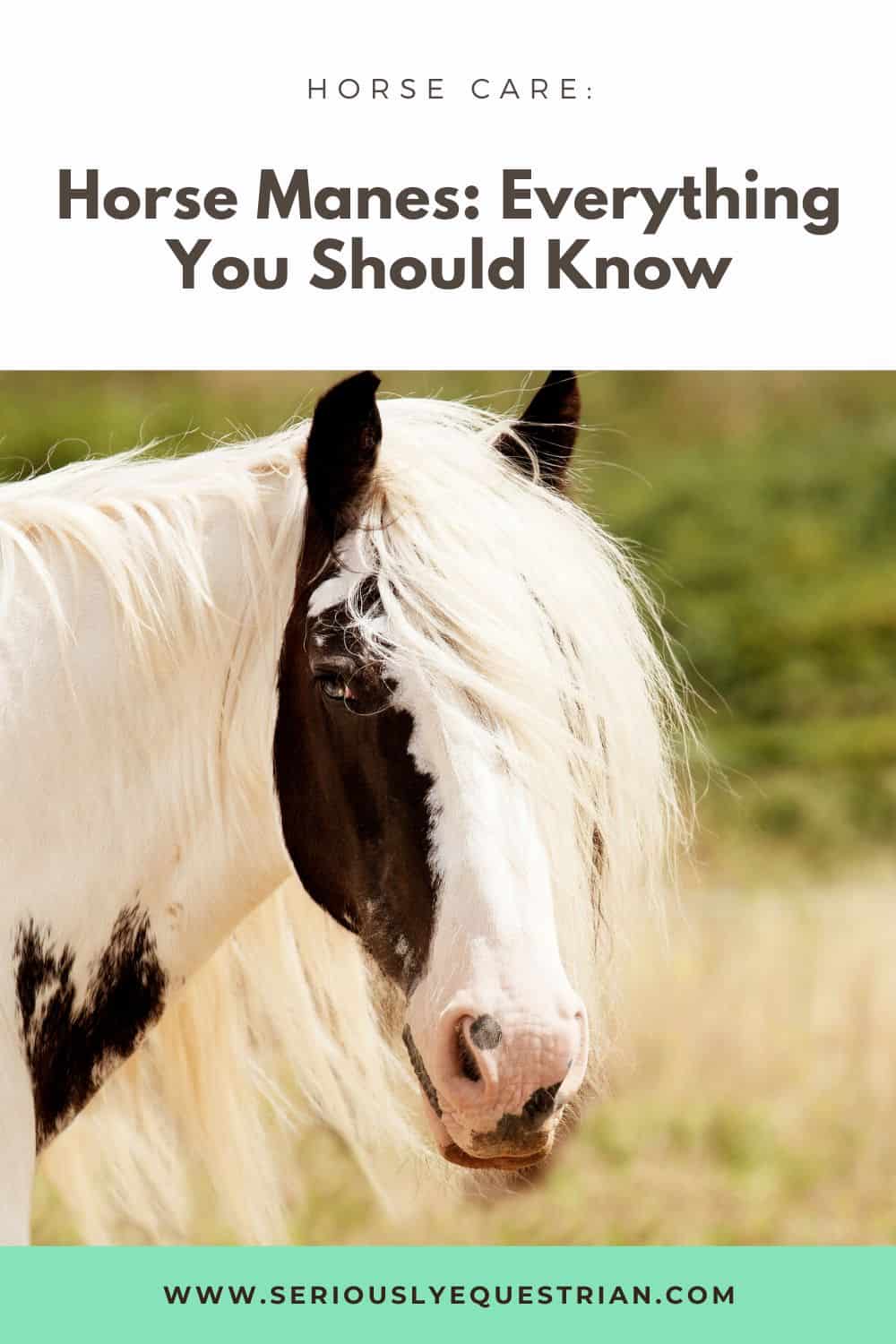 Horse Manes pin