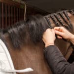 How to Braid a Horse’s Mane
