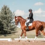 Riding a Horse dream