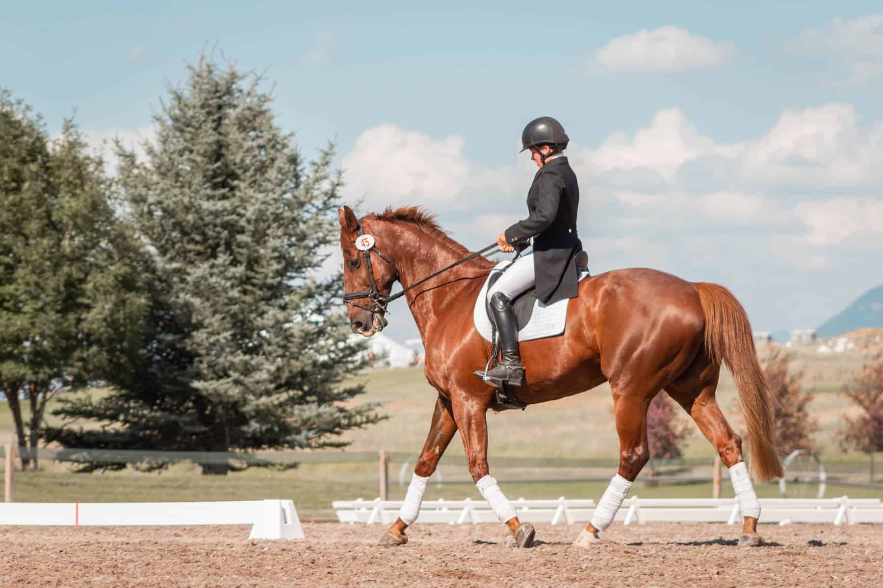 Riding a Horse dream