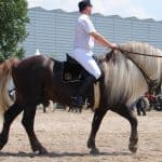 Riding a Black Forest Horse