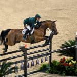 Hanoverian Horse Breed